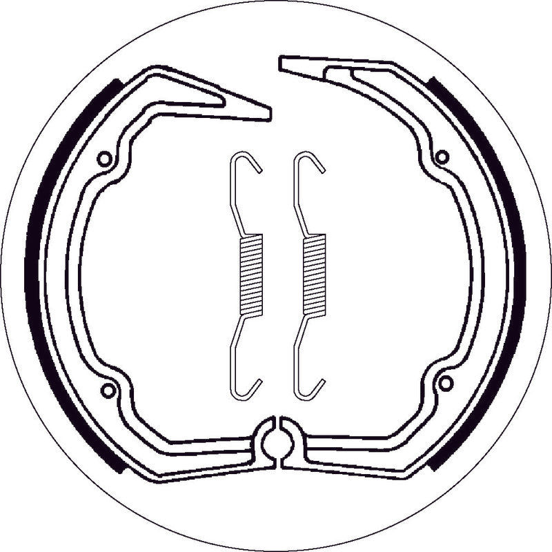 SBS 2141 BRAKE SHOES | WITH SPRINGS
