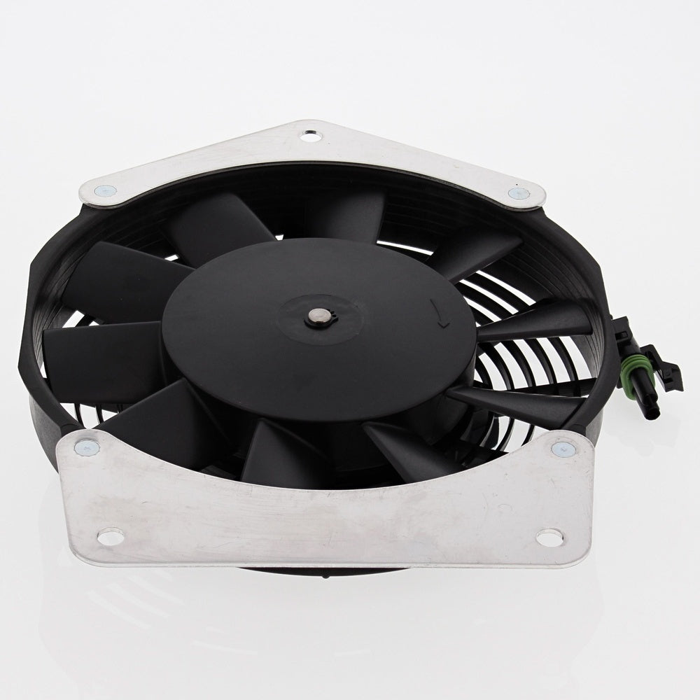 All Balls - Cooling Fan