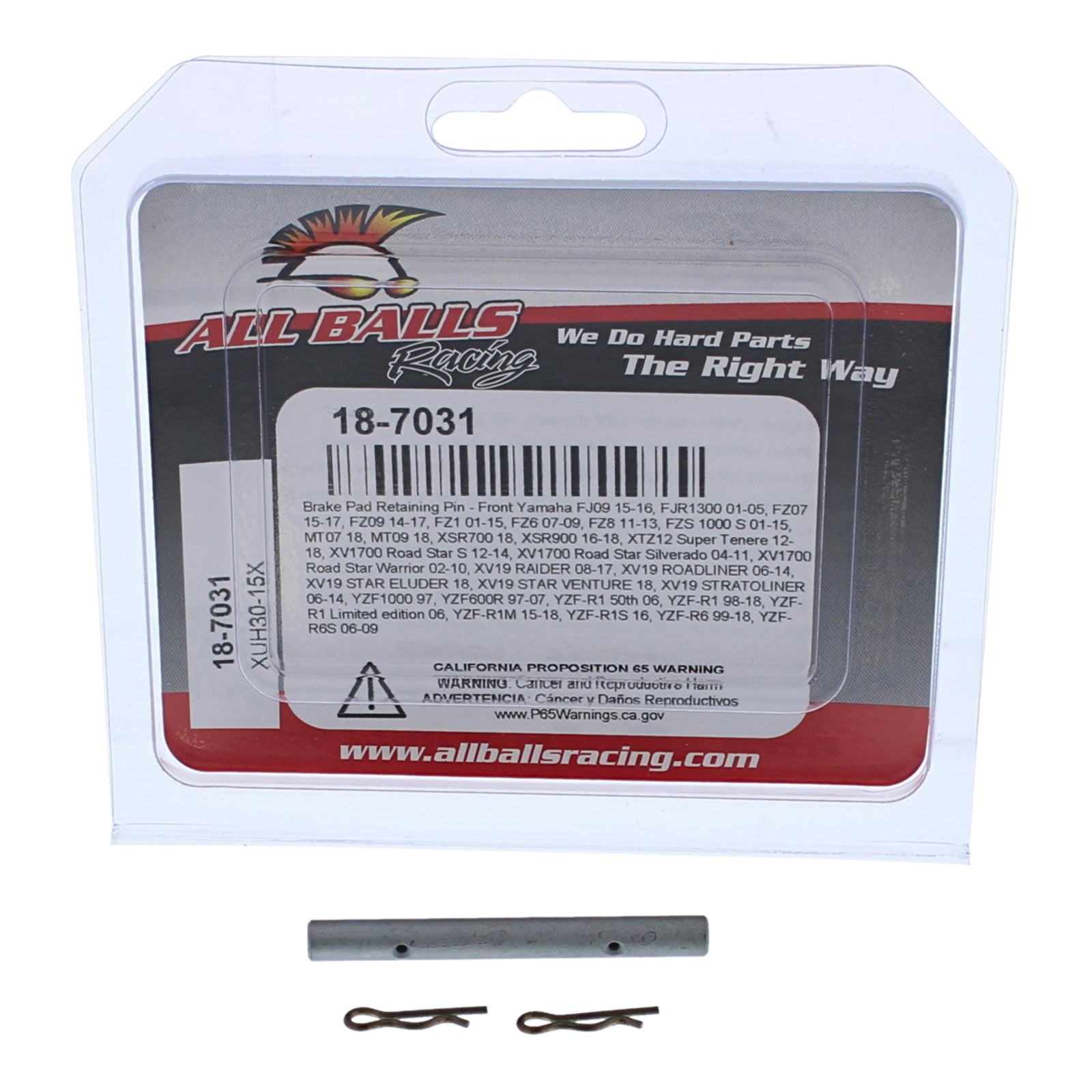All Balls Racing Brake Pin Kit (18-7031)