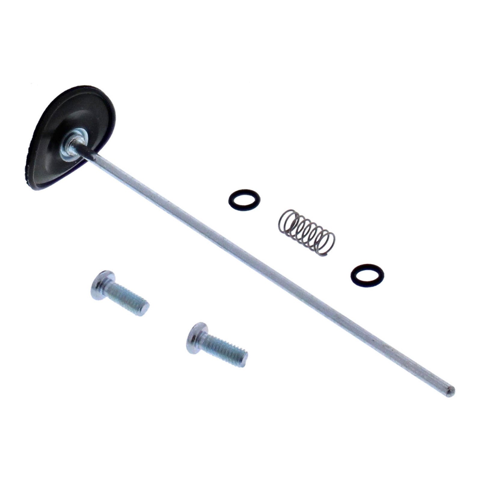 Accelerator Pump Rebuild Kit 46-3012