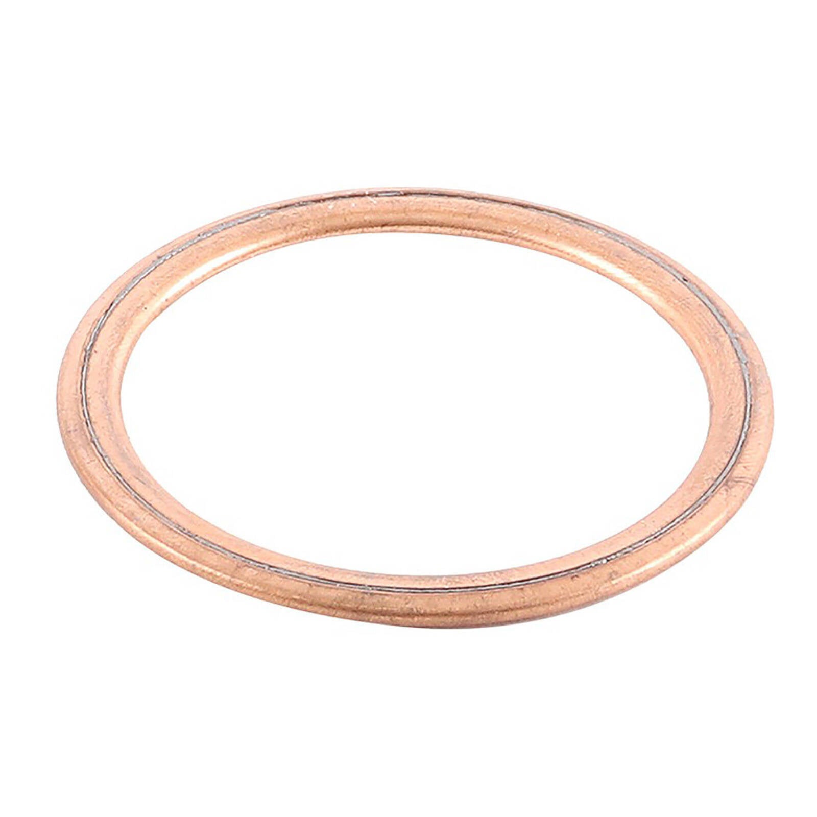 Exhaust Gasket Kit 823065