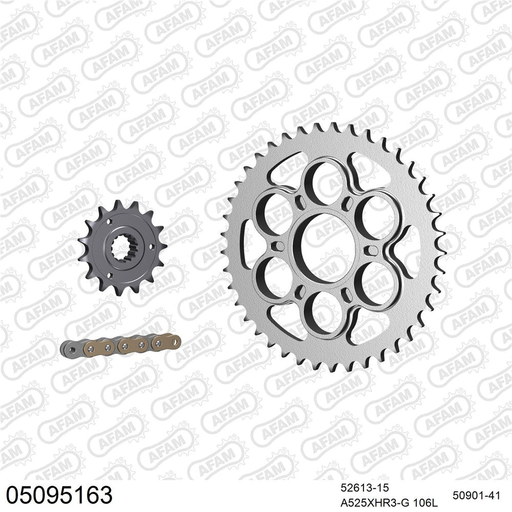 AFAM CHAIN SPROCKET KIT STEEL DUCATI 1200 S MONSTER 2016-2020