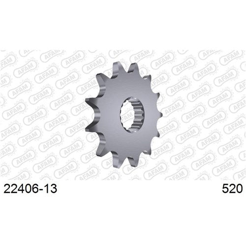 AFAM 13T 520 RMZ450 05-