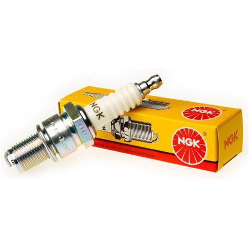 NGK SPARK PLUG - MULTIGROUND  CTN10