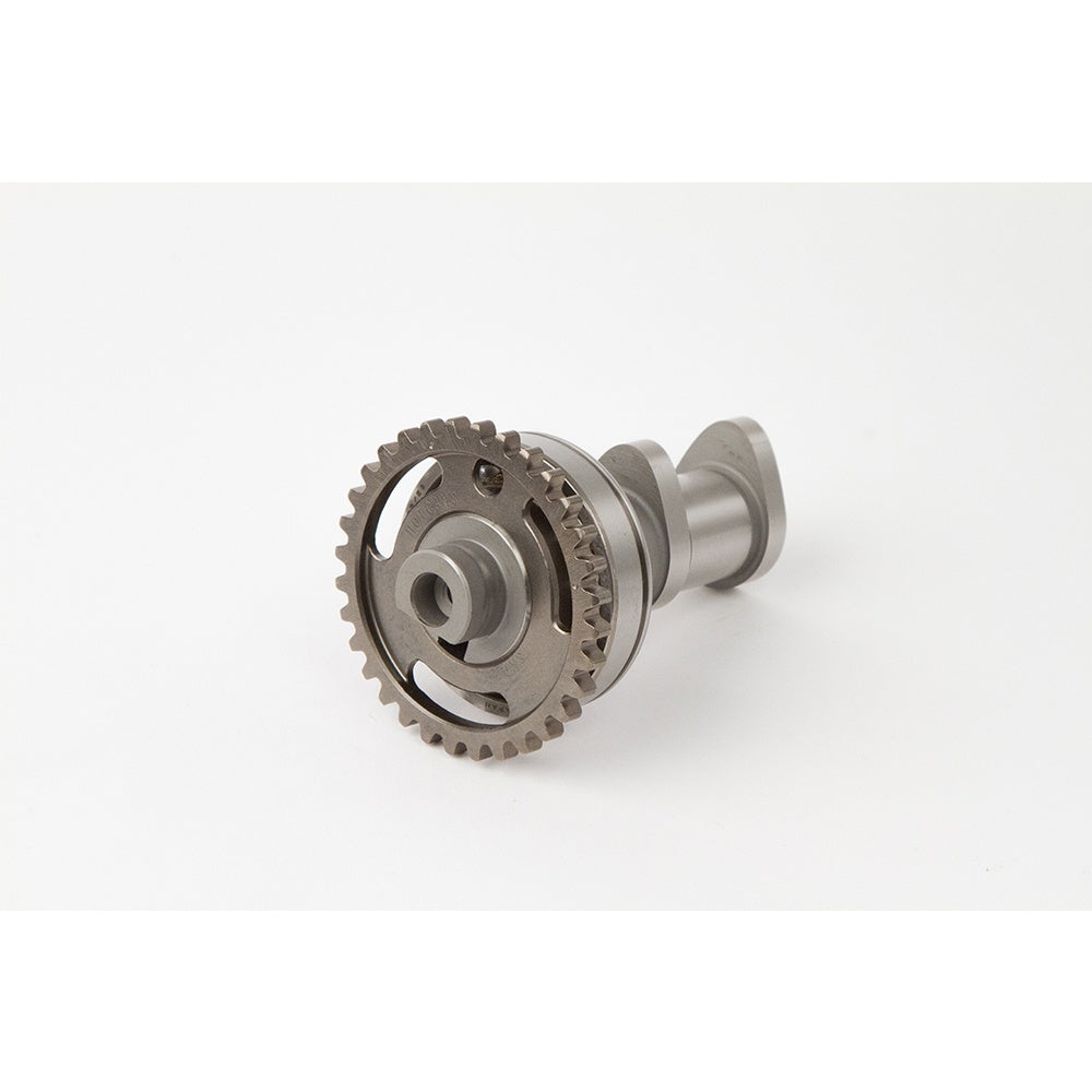 Camshafts KAW KX250F 04-10 Stage 2: Dual cam engine. Intake and exhaust cams sold separately. Excellent top-end power. Great over rev