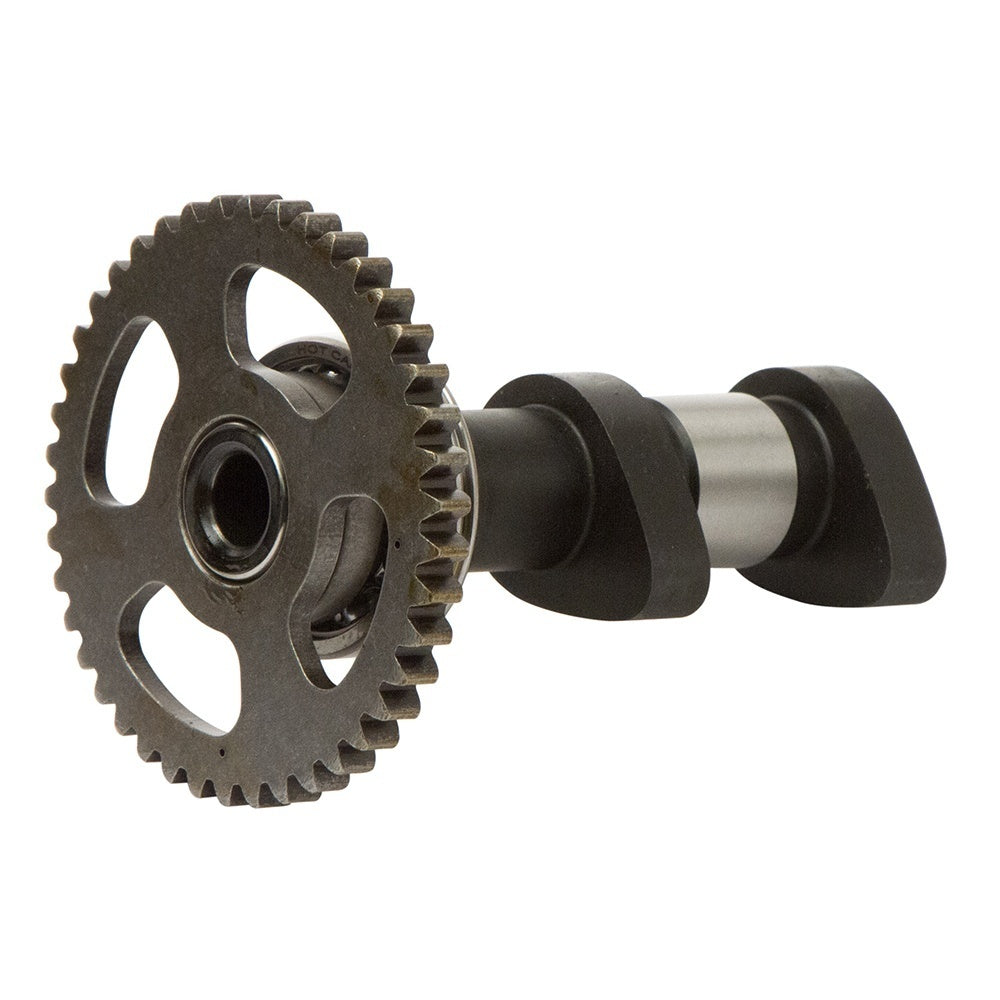Camshafts POL OUTLAW500 06-07 Stage 1: Dual cam engine. Intake and exhaust cams sold separately. Excellent mid-range to top-end power increase. Uses stock valve springs.