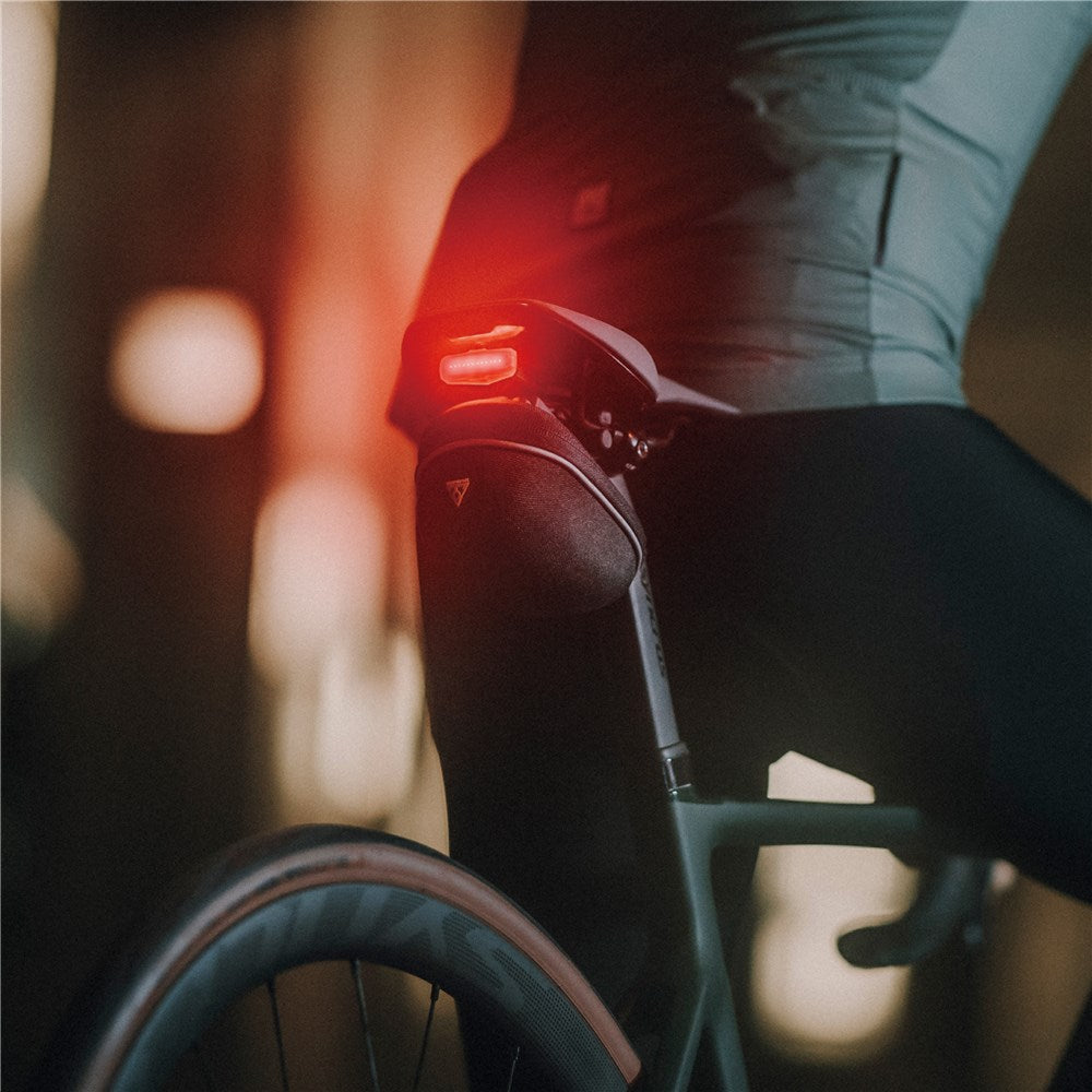 TOPEAK REDLITE 30