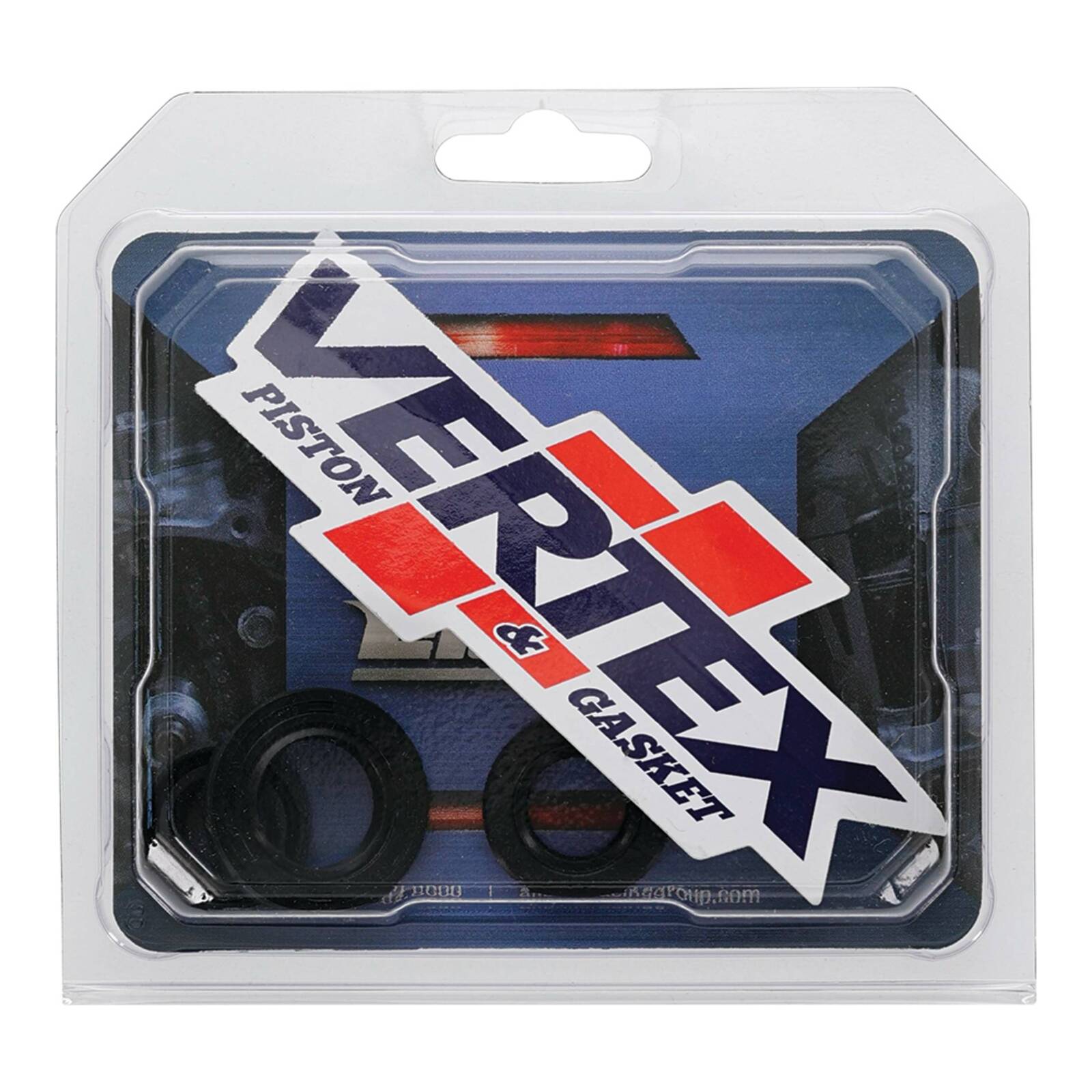 Oil Seal Kit 822999