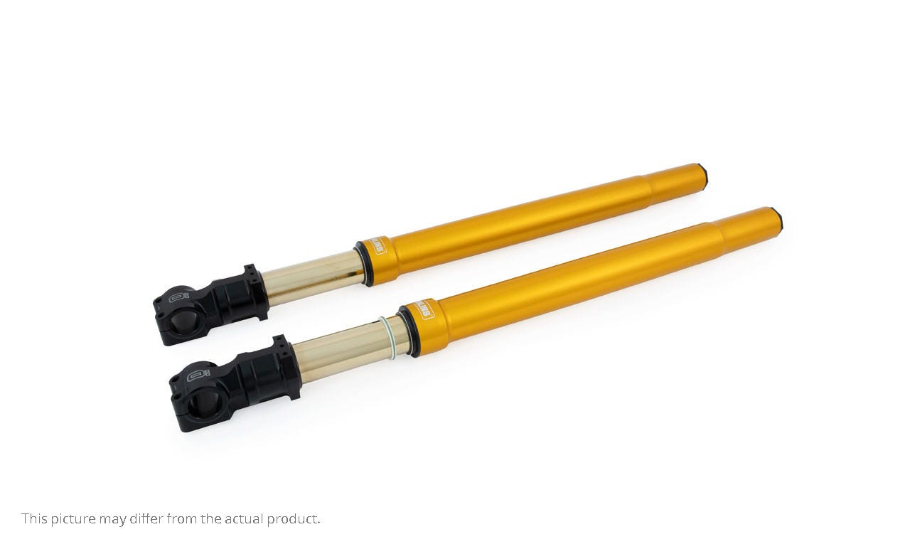 Front fork universal 50/54/800 gold (SET)