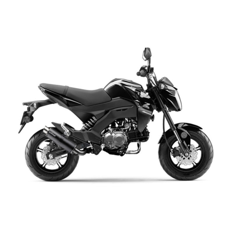 ###_SUPERSEDED_BY_ LVFS3394MU_### | LV FULL SYST | GP CORSA | MATTE CARBON | Z 125 PRO '17&gt;