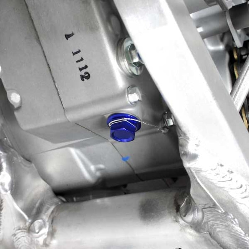 ZETA DRAIN BOLT - MAGNETIC | M10x15 - P1.25 | BLUE