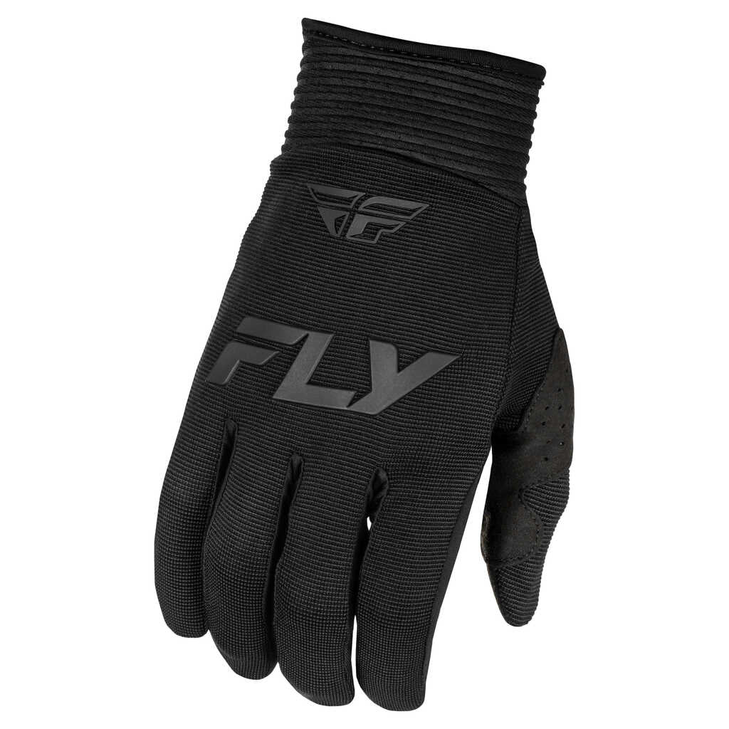 Fly Racing 2025 F-16 Gloves - BLACK