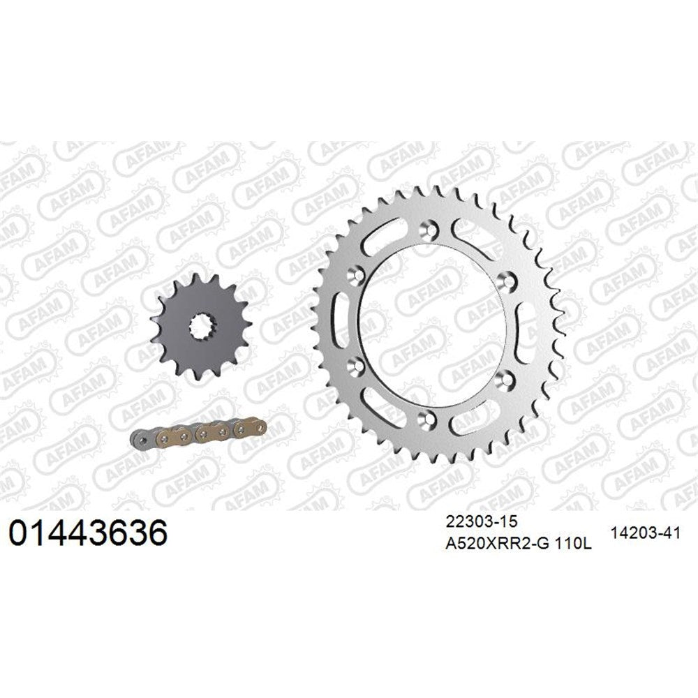 AFAM CHAIN SPROCKET KIT STEEL SUZUKI DR-Z 400 SM 2005-2009