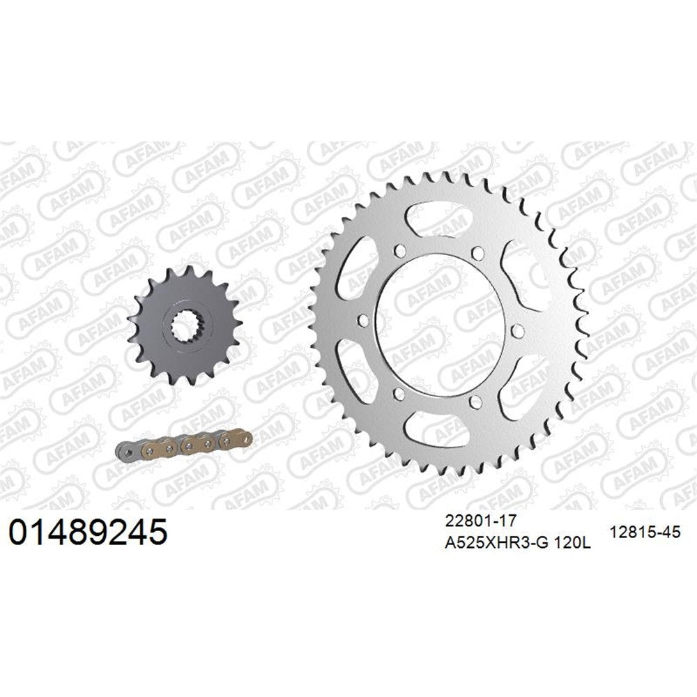 AFAM CHAIN SPROCKET KIT STEEL SUZUKI GSXR 1000 2017-2023 [SPC01]