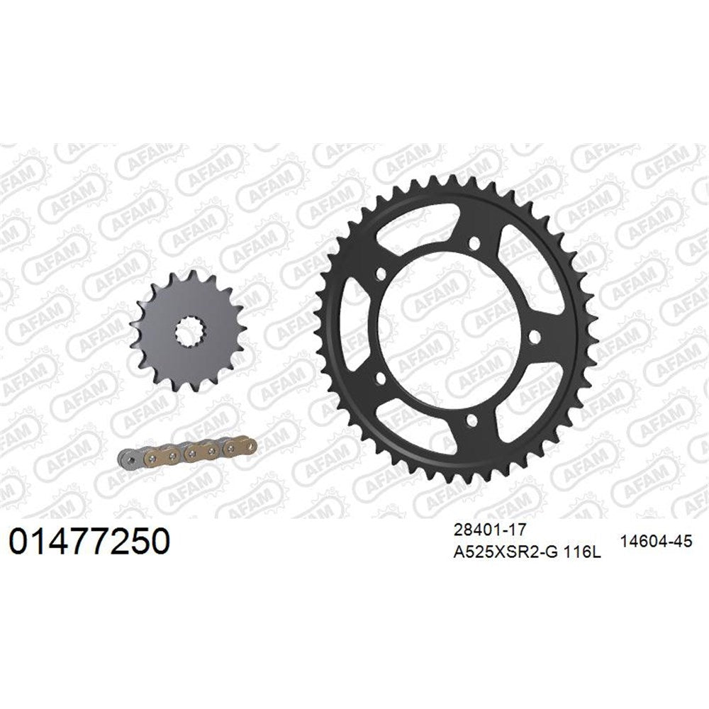 AFAM CHAIN SPROCKET KIT STEEL SUZUKI V-STROM 1050 (DE) 2023-2023