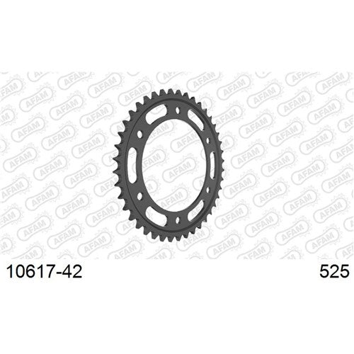 AFAM S42 525 HONDA CBR600