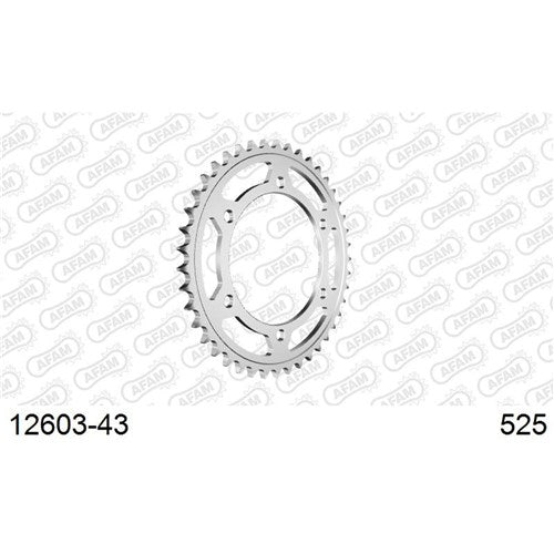 AFAM S43 525 YAMAHA TDM850
