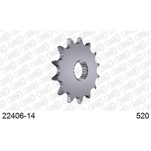 AFAM 14T 520 RMZ450 05-