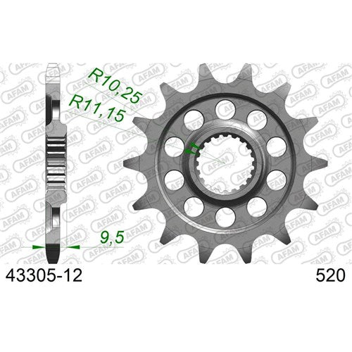AFAM 12T 520 SHERCO ALL 2021-