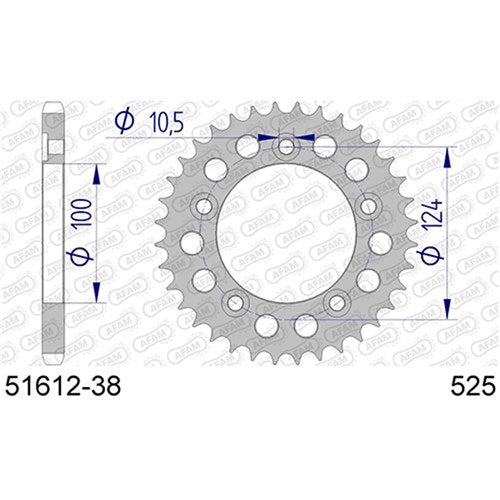 AFAM A38 525 DUCATI 749 R/S