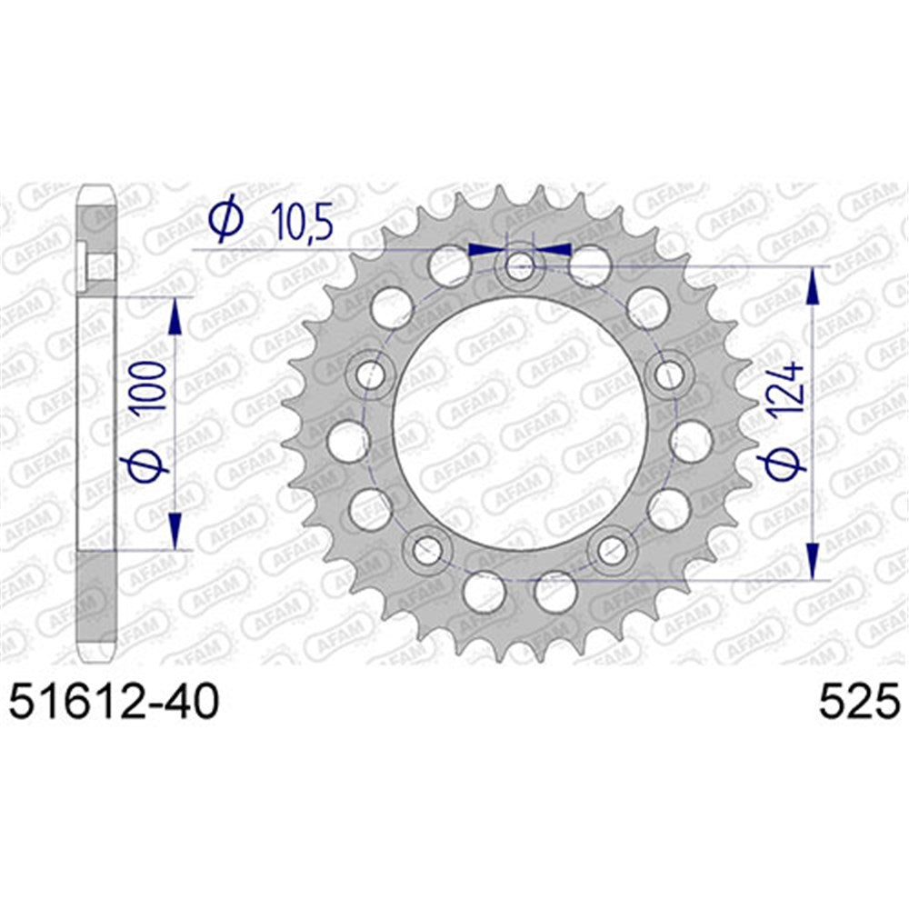 AFAM A40 525 DUCATI 749 R/S [ONC01] #