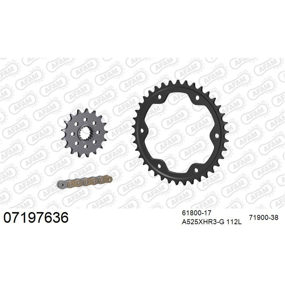 AFAM CHAIN SPROCKET KIT STEEL KTM 1290 SUPERDUKE 2014-2023 [SPC01]