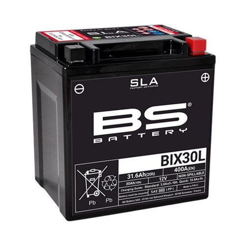 BS BATTERY SLA - BIX30L (FA) - [CTN 2] (UN2800/CLASS 8)