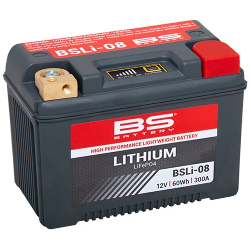 BS BATTERY LITHIUM - BSLI-08 - [CTN 4] (UN3480/CLASS 9)