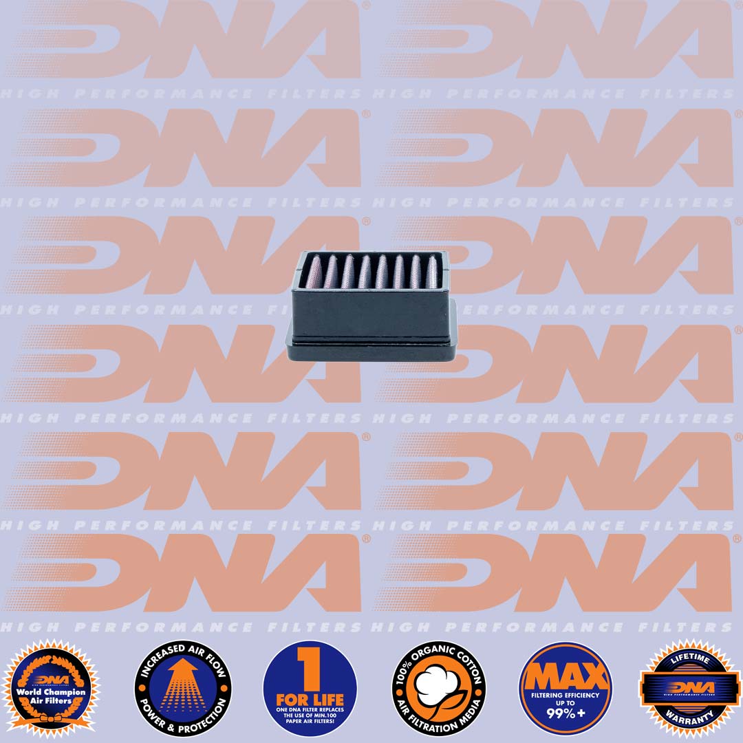 G 310 GS 17-24 & G 310 R 16-24 - DNA AIR FILTER - P-BM3N20-01