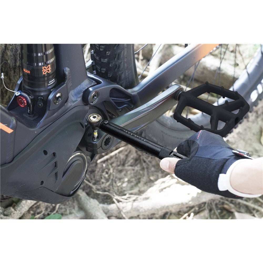 TOPEAK TORQ STICK 4-20NM