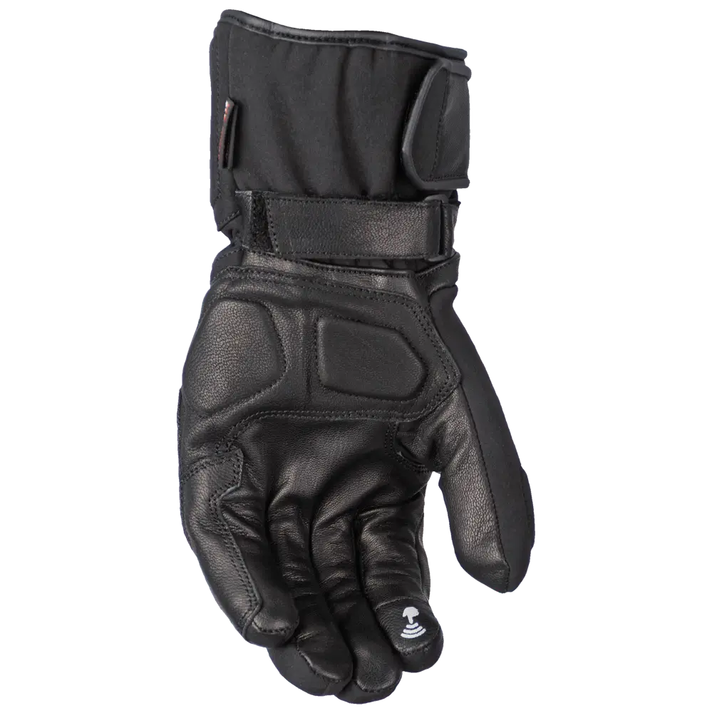 WNT 2 BLACK