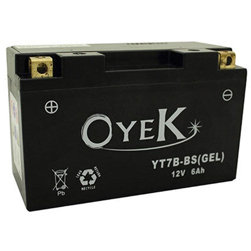 #OYEK YB9L-A2 HEAVY DUTY QTY PR. MULTI 10 (UN2796)